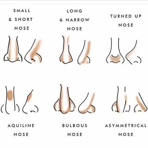 Types of nose