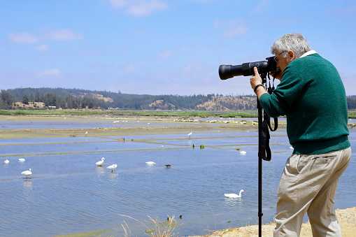 Bird watching