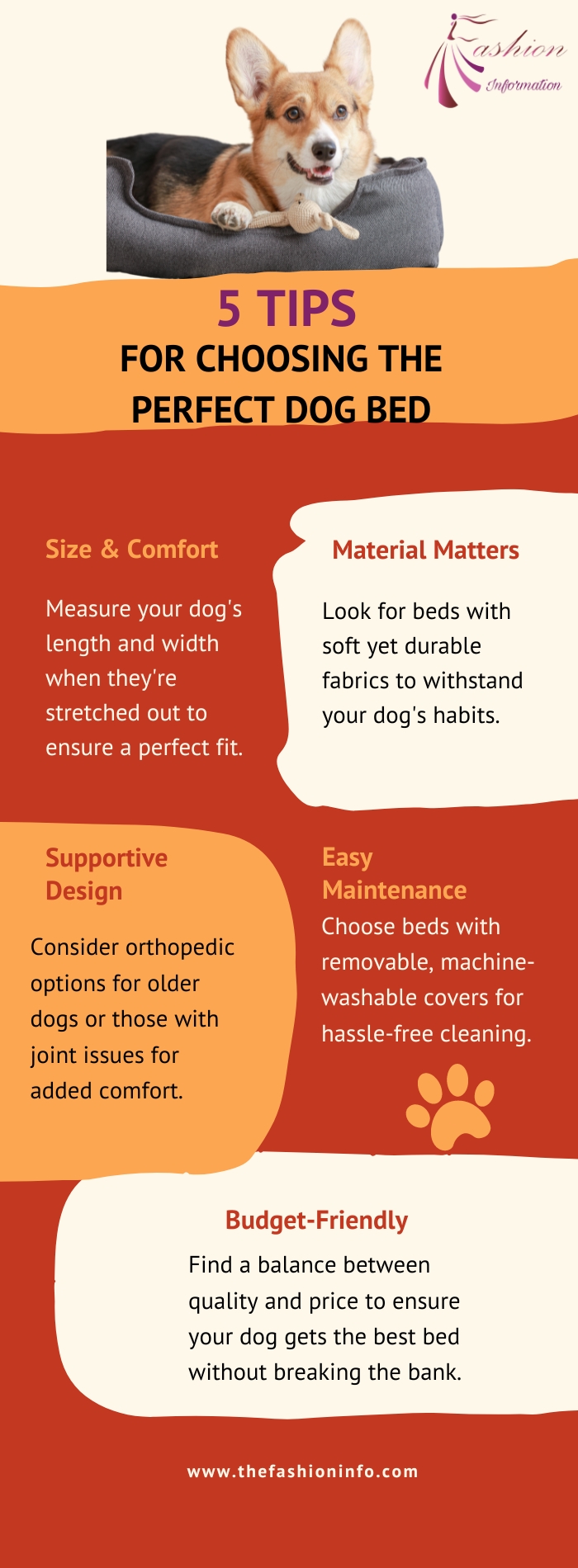 5 Tips for Choosing the Perfect Dog Bed
