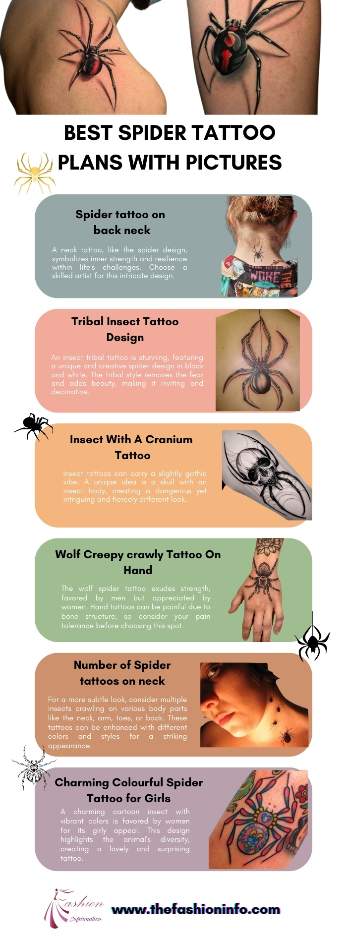 Best Spider Tattoo Plans With Pictures