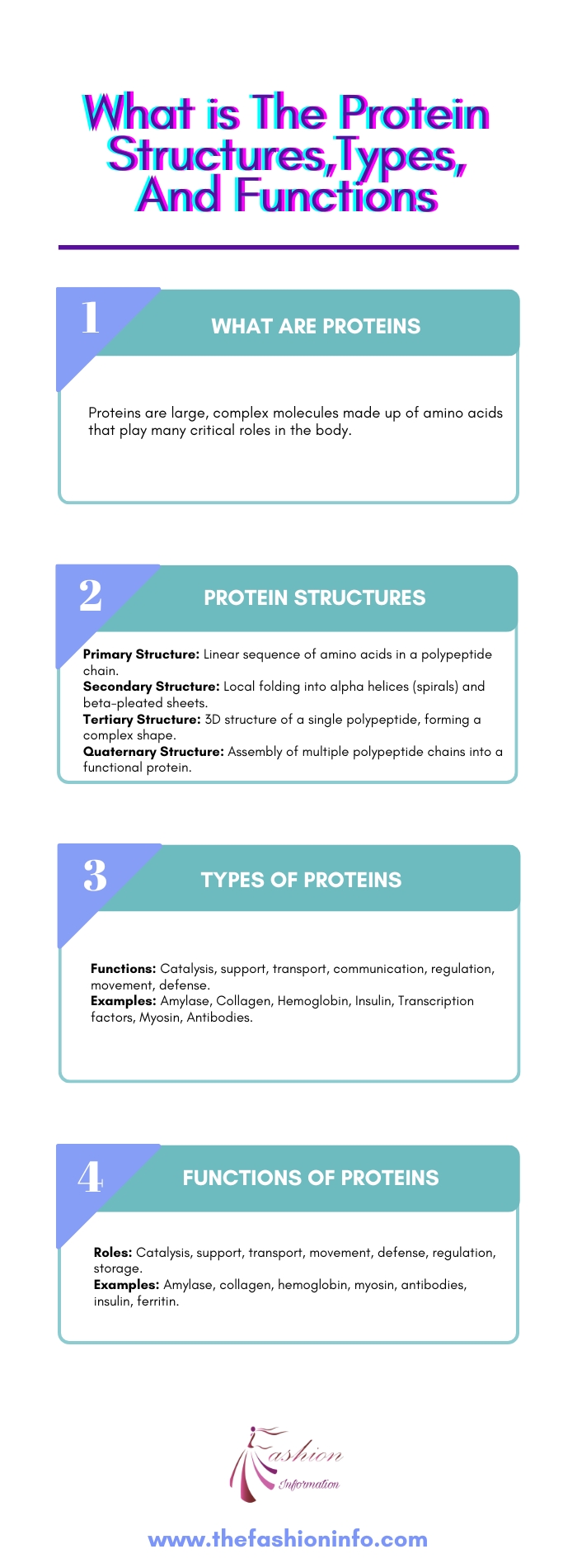What is The Protein Structures,Types, And Functions